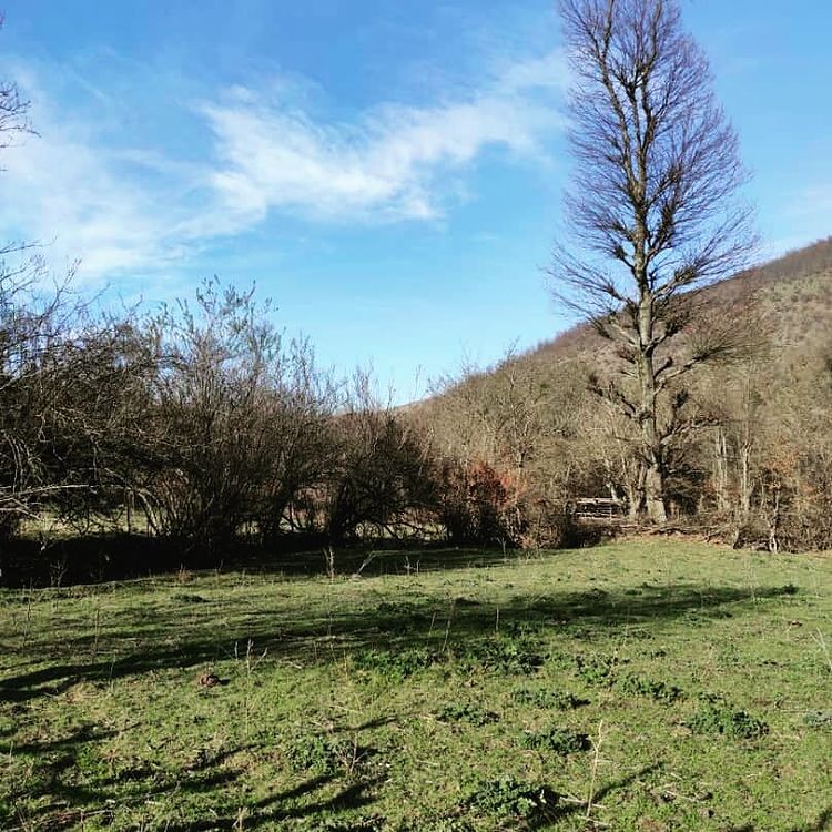 روستای نصفی شهرستان رودبار، نصفی گیلان، نصفی رستم آباد، آلش دشت، تپه ی مارلیک، جام مارلیک، مارلیک رستم آباد